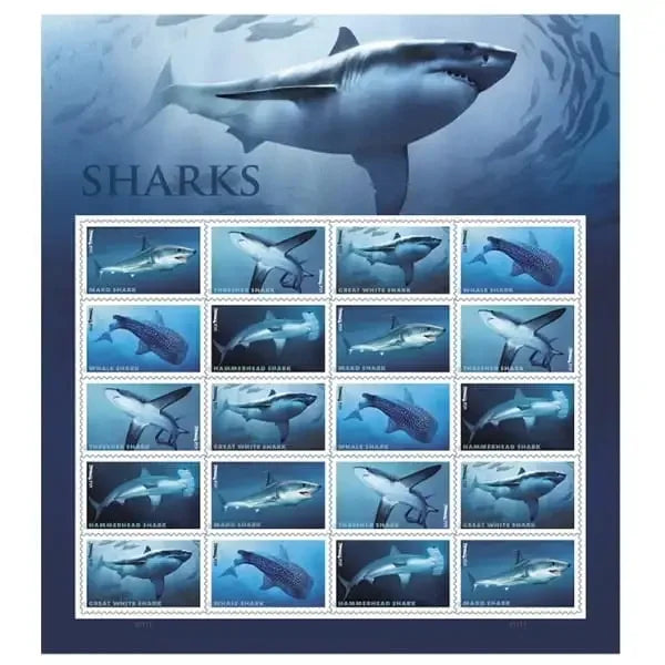 Sharks Ecotourism Conservation Preservation Ecology Nature Forever First Class Postage Stamps