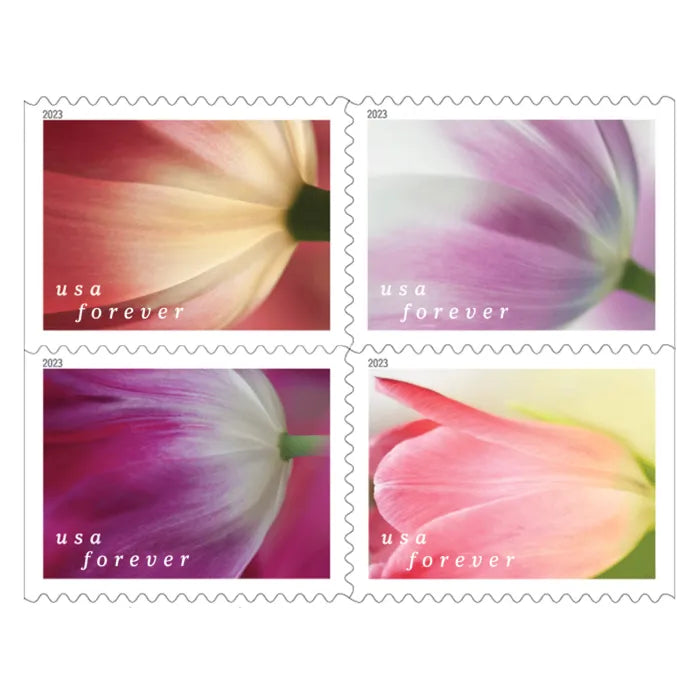 Tulip Blossoms Forever Stamps