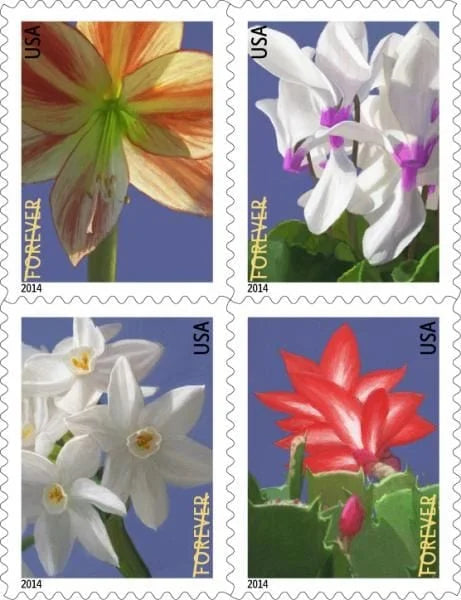Winter Flowers Forever Stamps