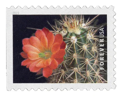 Cactus Flowers Forever First Class Postage Stamps