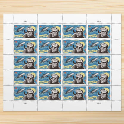 All Time Low (Price): $1200 Get 10000 Forever Stamps, More Than 100 Styles to Choose