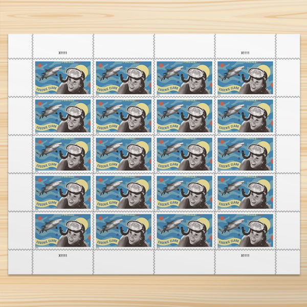 Buy More, More Discounts: $888 Get 6000 Forever Stamps