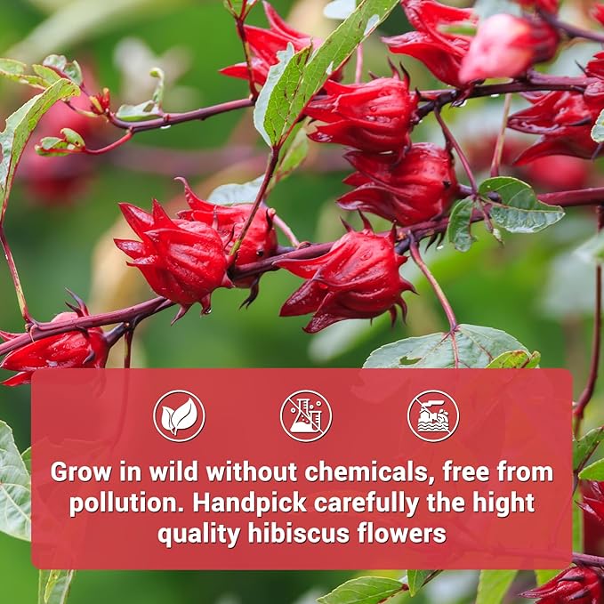 Hibiscus Tea Bags, 100% Natural Hibiscus Flowers Herbal Tea Supports Heart Health, Boosts Immune，Caffeine Free, Non-GMO, No Sugar (1 Pack/50 Bags)