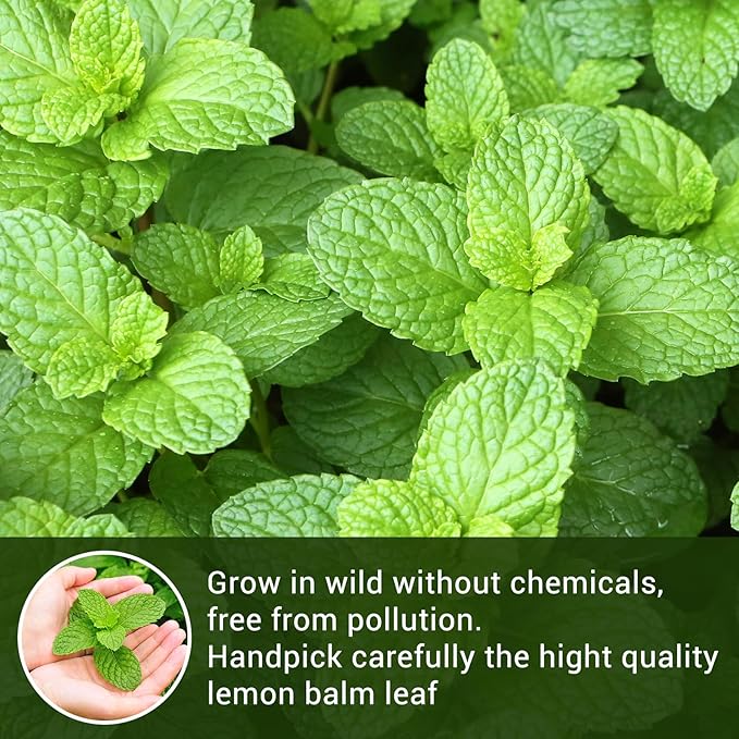 Lemon Balm Tea, 100% Pure & Natural Lemon Balm Leaves Herbal Tea Bags, Promotes Relaxation & Aid In Digestion, Caffeine Free, Non-GMO, Additives Free (1 Pack/40Bags)