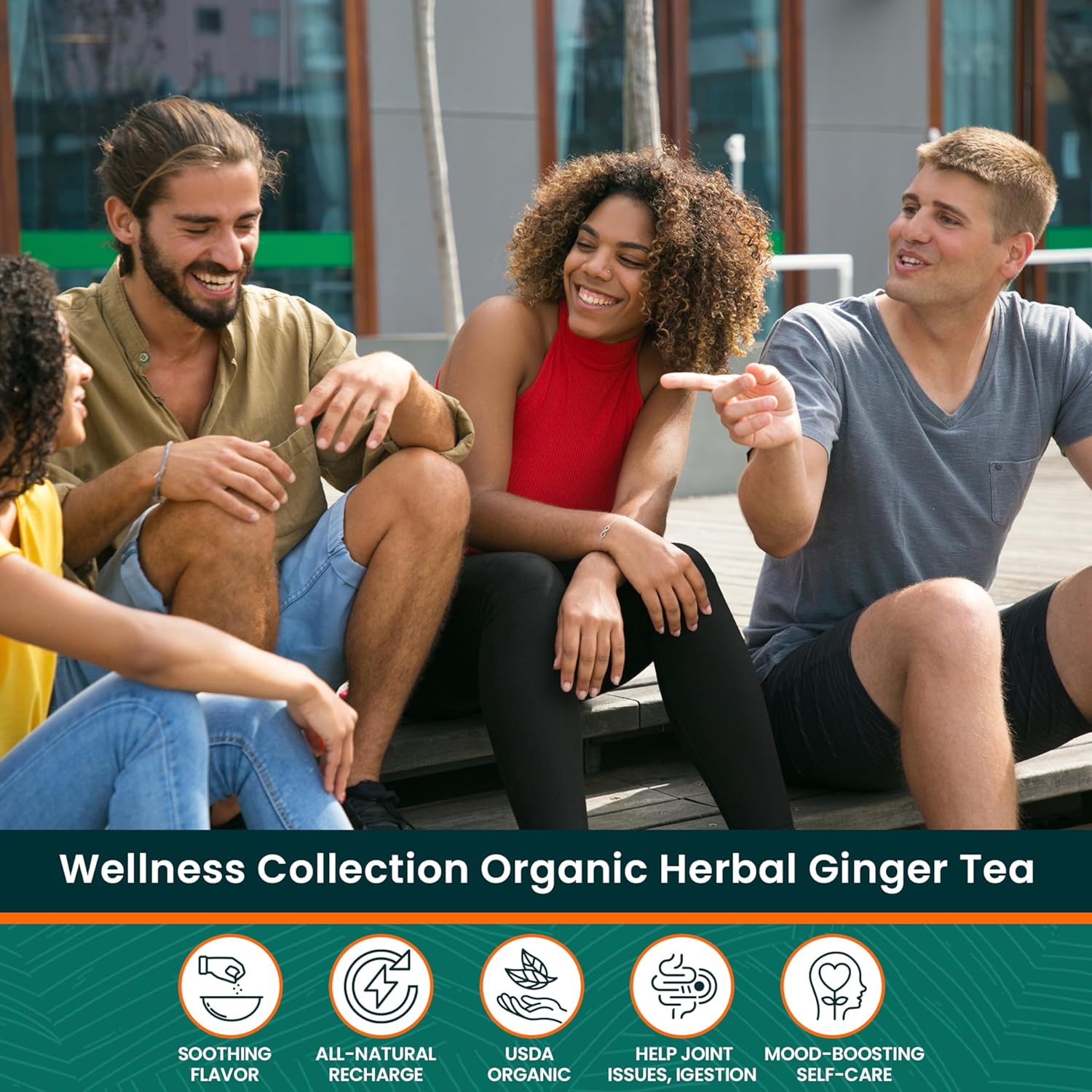 Herbaly Wellness Collection Organic Herbal Ginger Tea, 70 g, 28 Count Bag (Pack of 1)